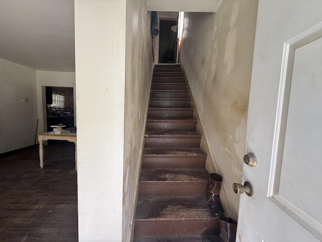 421 Buckner St, Elsmere, KY 41018 - photo 8