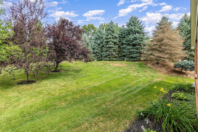 841 Lauren Dr, Villa Hills, KY 41017 - photo 24