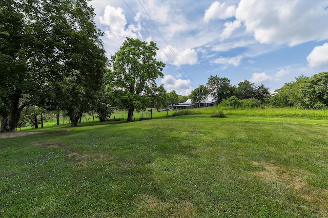 4725 Cordova Rd, Williamstown, KY 41097 - photo 27