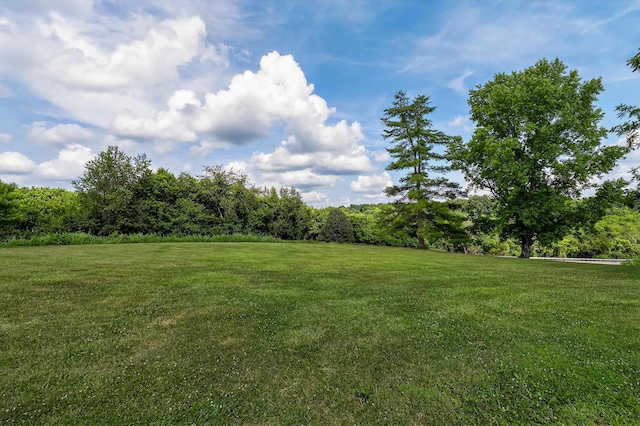 4725 Cordova Rd, Williamstown, KY 41097 - photo 28