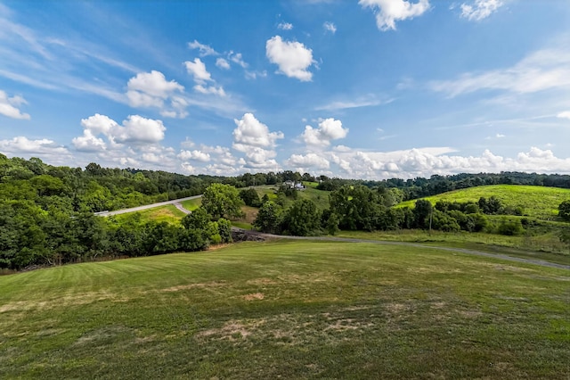 4725 Cordova Rd, Williamstown, KY 41097 - photo 26