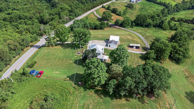 4725 Cordova Rd, Williamstown, KY 41097 - photo 29