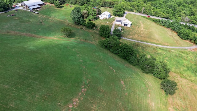 4725 Cordova Rd, Williamstown, KY 41097 - photo 37