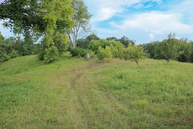520 Pennington Ln, Owenton, KY 40359 - photo 4
