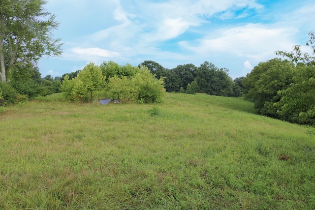 520 Pennington Ln, Owenton, KY 40359 - photo 2