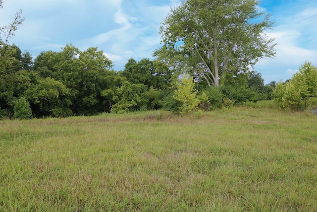 520 Pennington Ln, Owenton, KY 40359 - photo 3