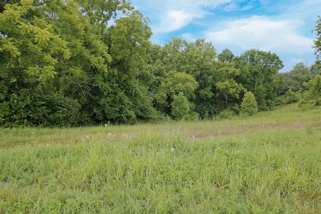 520 Pennington Ln, Owenton, KY 40359 - photo 6