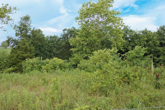 520 Pennington Ln, Owenton, KY 40359 - photo 7