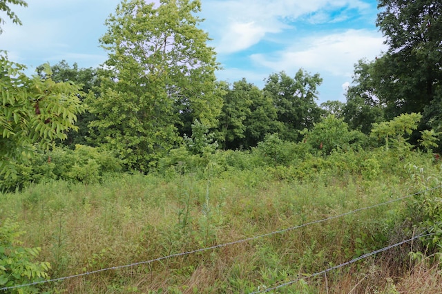 520 Pennington Ln, Owenton, KY 40359 - photo 12
