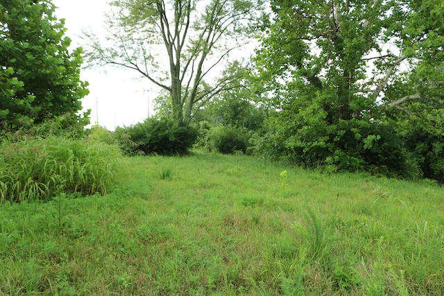 520 Pennington Ln, Owenton, KY 40359 - photo 8