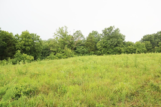 520 Pennington Ln, Owenton, KY 40359 - photo 9