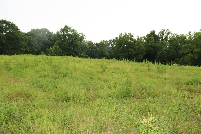 520 Pennington Ln, Owenton, KY 40359 - photo 10