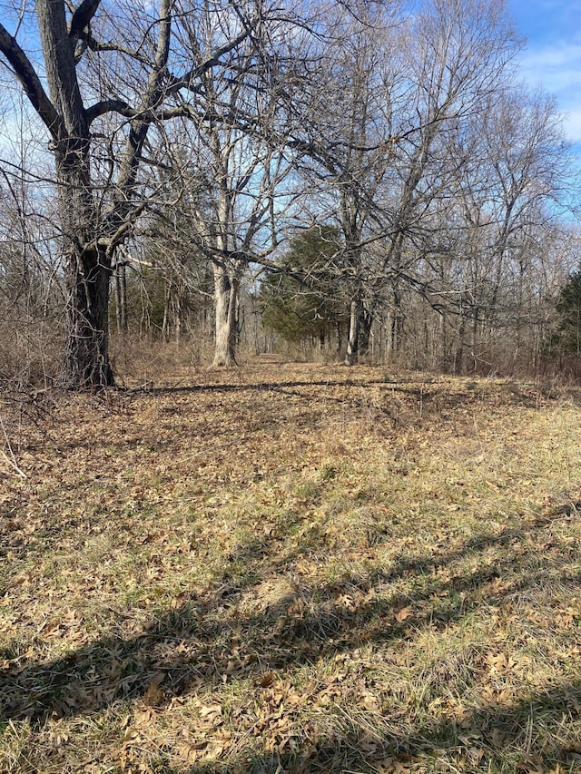 520 Pennington Ln, Owenton, KY 40359 - photo 5