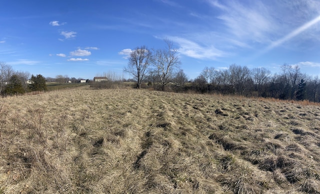 520 Pennington Ln, Owenton, KY 40359 - photo 22