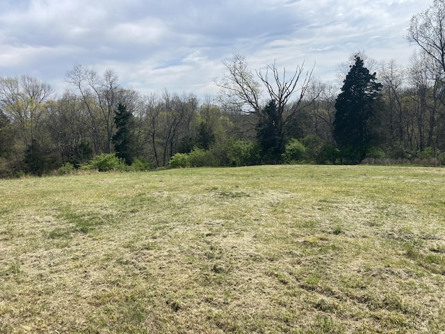 520 Pennington Ln, Owenton, KY 40359 - photo 23