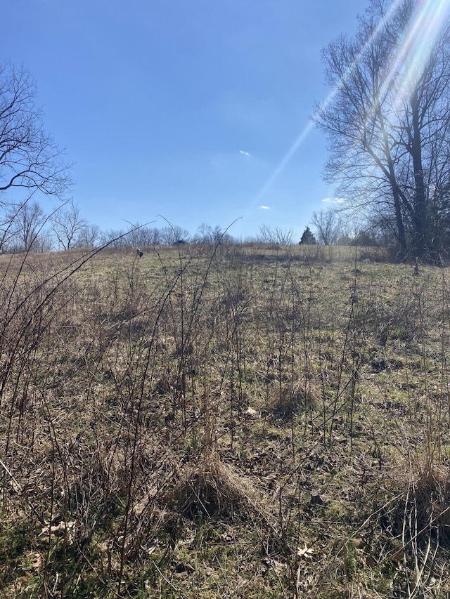 520 Pennington Ln, Owenton, KY 40359 - photo 14