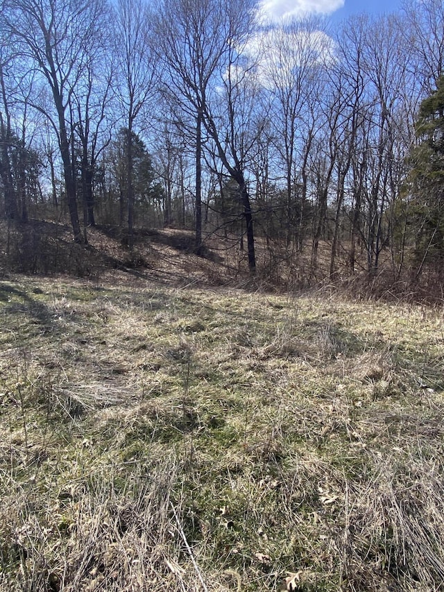 520 Pennington Ln, Owenton, KY 40359 - photo 15