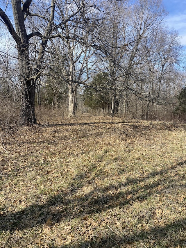 520 Pennington Ln, Owenton, KY 40359 - photo 21