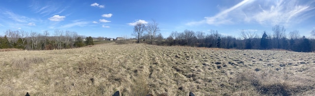 520 Pennington Ln, Owenton, KY 40359 - photo 30