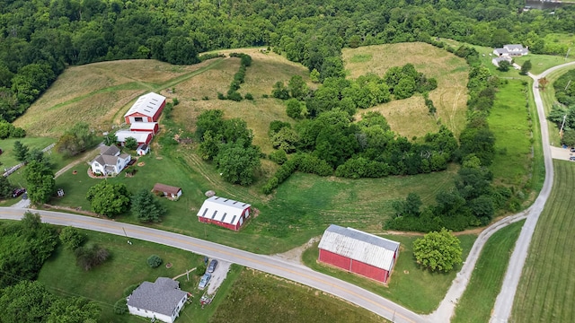 295 Fairview Rd, Williamstown, KY 41097 - photo 8