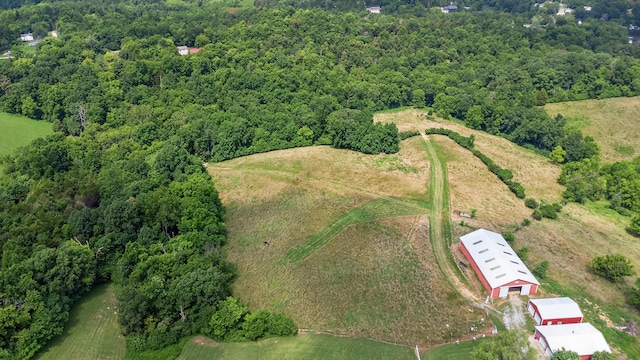295 Fairview Rd, Williamstown, KY 41097 - photo 39