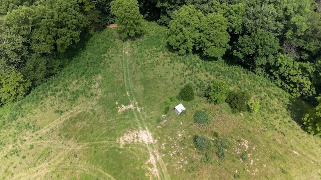 295 Fairview Rd, Williamstown, KY 41097 - photo 40