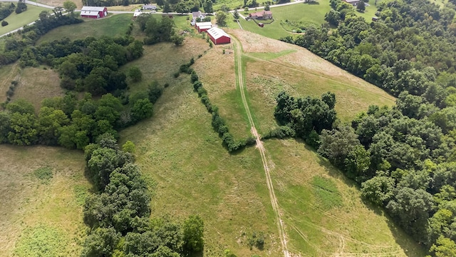 295 Fairview Rd, Williamstown, KY 41097 - photo 41