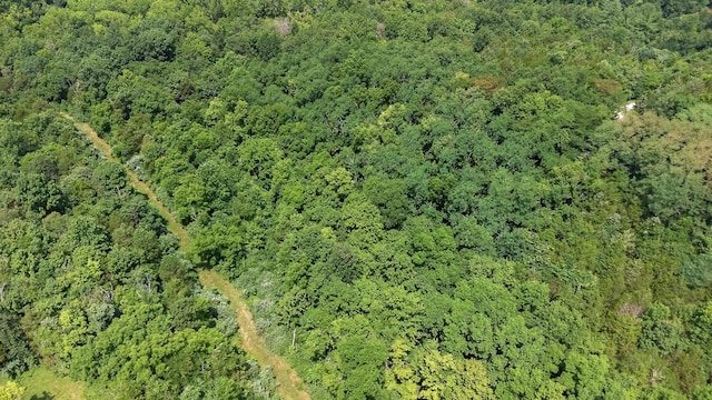 295 Fairview Rd, Williamstown, KY 41097 - photo 45