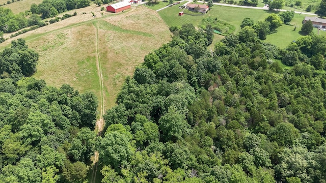 295 Fairview Rd, Williamstown, KY 41097 - photo 42