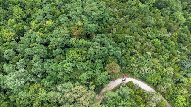 295 Fairview Rd, Williamstown, KY 41097 - photo 47