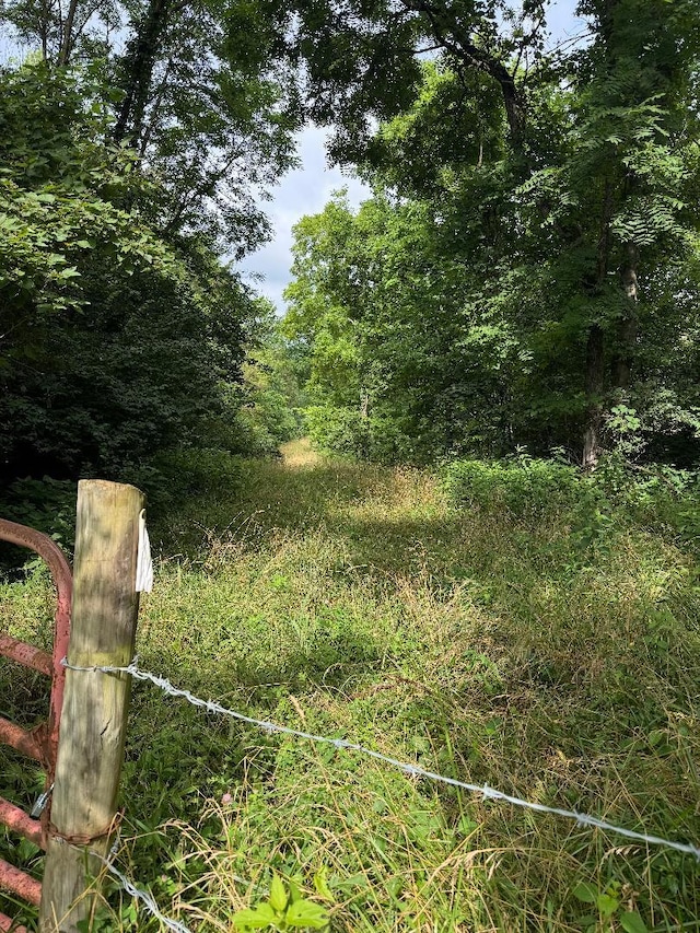 295 Fairview Rd, Williamstown, KY 41097 - photo 43