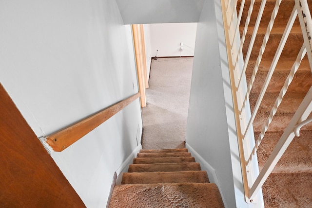 9 Juarez Cir, Covington, KY 41017 - photo 14