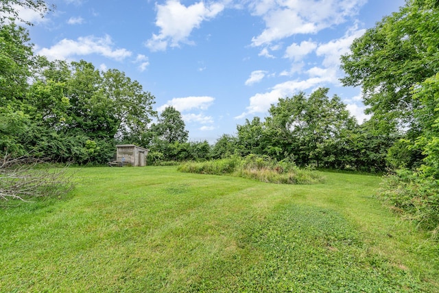 13549 Peach Grove Rd, California, KY 41007 - photo 28