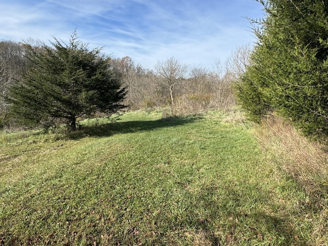 4370 Cordova Rd, Williamstown, KY 41097 - photo 12