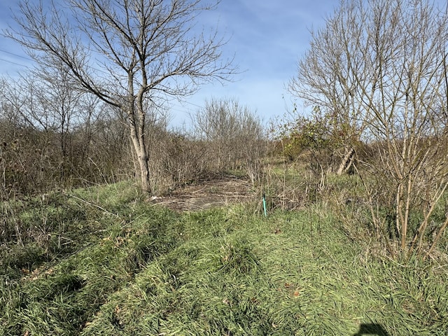 4370 Cordova Rd, Williamstown, KY 41097 - photo 19