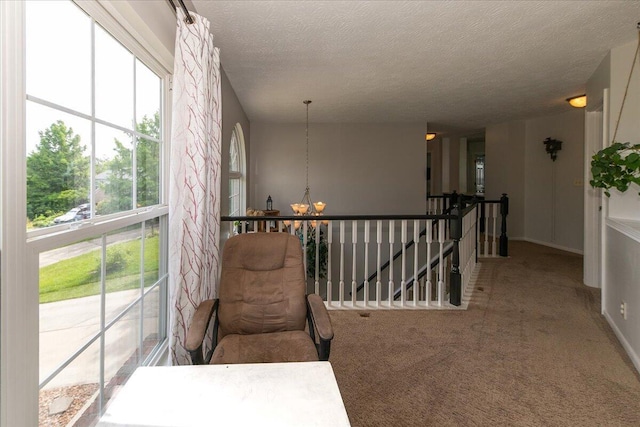 5151 Noble Ct E, Independence, KY 41051 - photo 17