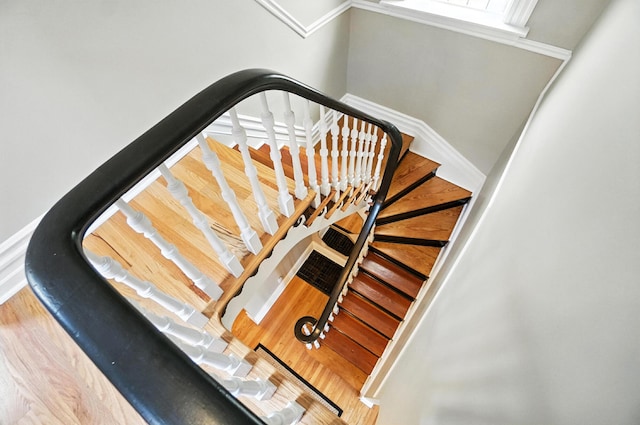 818 Park Ave, Newport, KY 41071 - photo 23