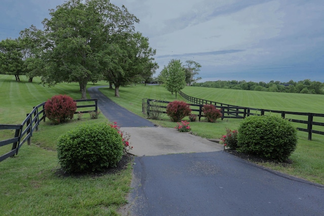 912 Conner Station Rd, Simpsonville, KY 40067 - photo 5