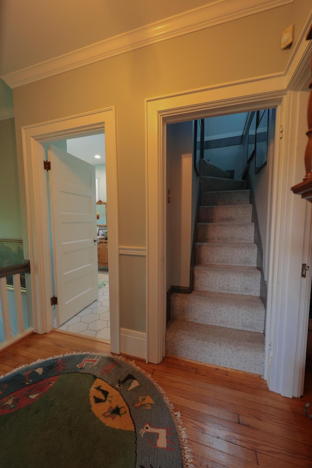 912 Conner Station Rd, Simpsonville, KY 40067 - photo 23