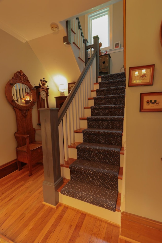 912 Conner Station Rd, Simpsonville, KY 40067 - photo 21