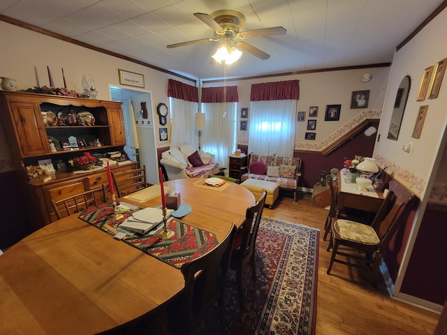 248 Pershing Ave, Covington, KY 41011 - photo 19