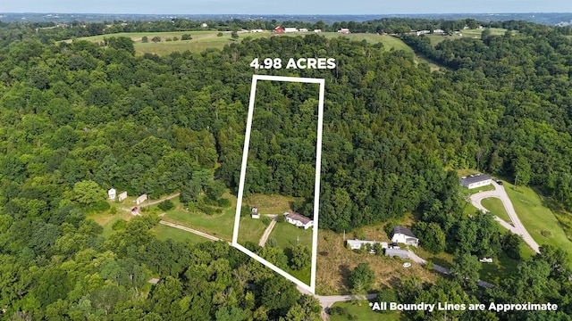 6357 Cecil Fields Rd, Union, KY 41091 - photo 2