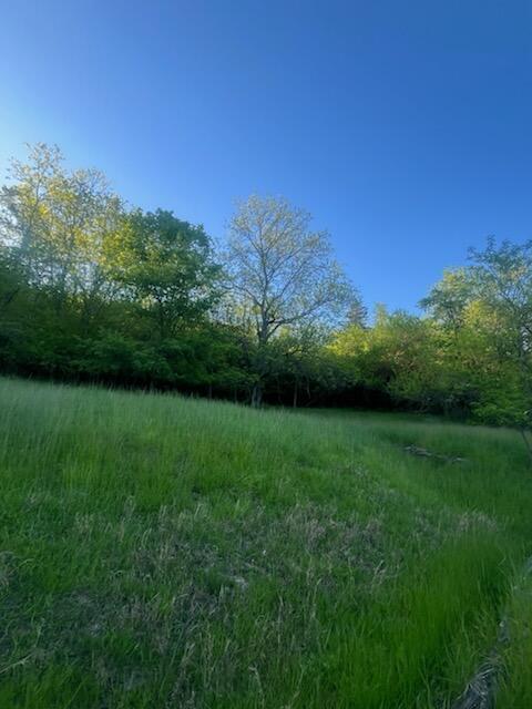 6357 Cecil Fields Rd, Union, KY 41091 - photo 12