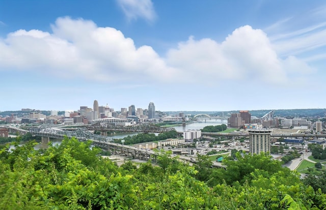 112 Winding Way Unit E, Covington, KY 41011 - photo 46