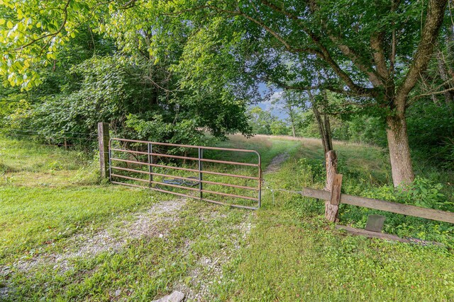 1165 Turner Rd, Williamstown, KY 41097 - photo 8