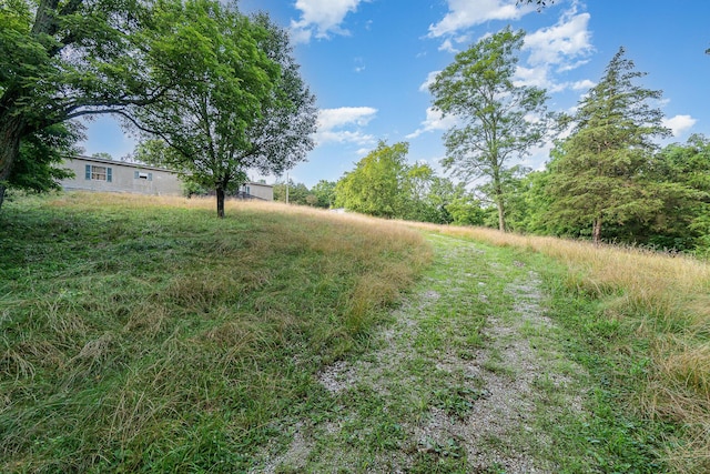 1165 Turner Rd, Williamstown, KY 41097 - photo 9