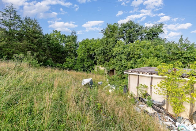 1165 Turner Rd, Williamstown, KY 41097 - photo 14