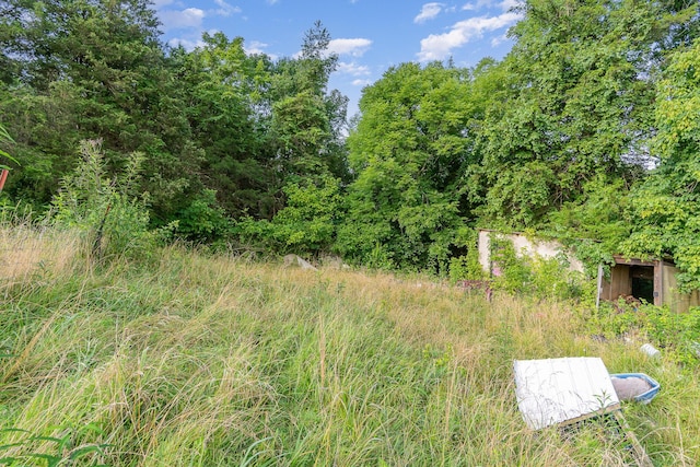 1165 Turner Rd, Williamstown, KY 41097 - photo 16