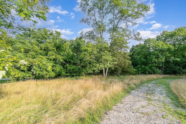 1165 Turner Rd, Williamstown, KY 41097 - photo 18