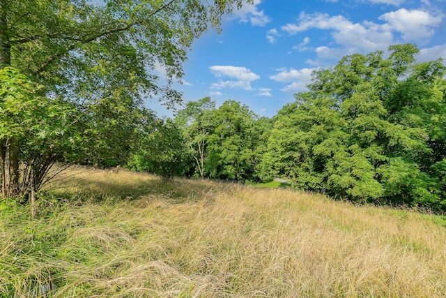 1165 Turner Rd, Williamstown, KY 41097 - photo 19